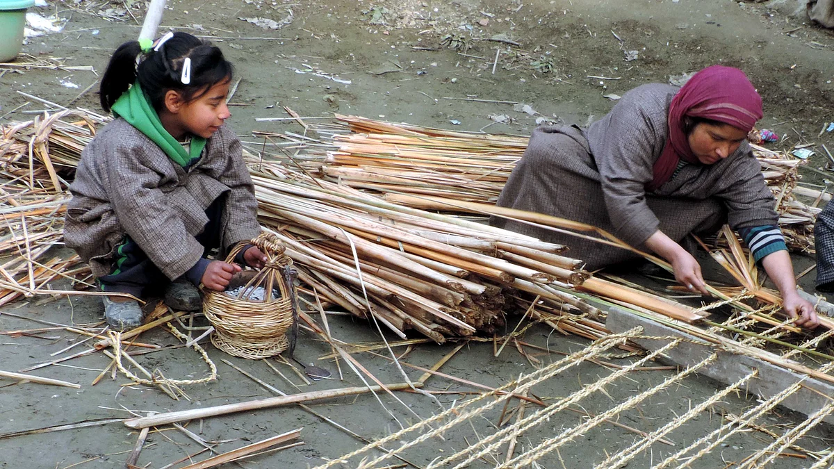تصویر یو این آئی