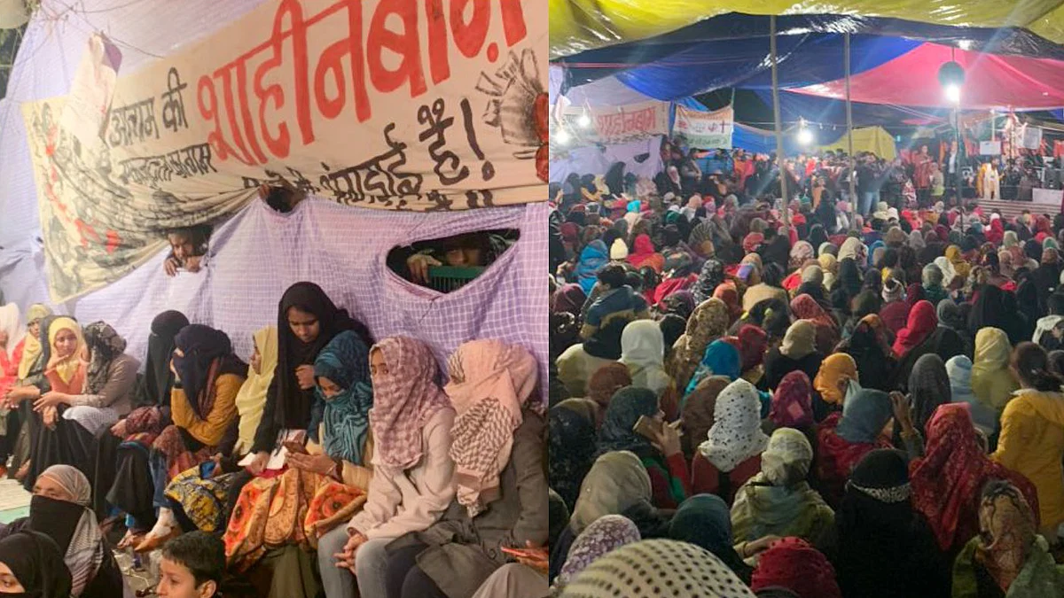 تصویر سوشل میڈیا