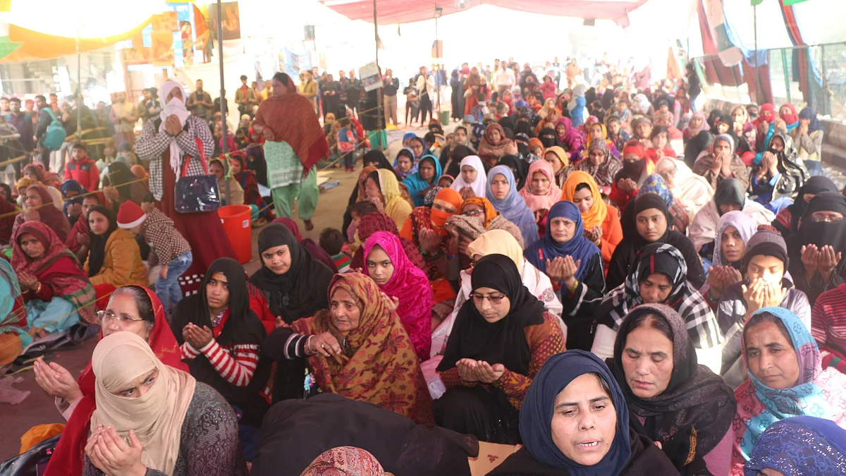 تصویر سوشل میڈیا