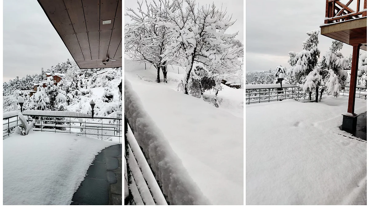 تصویر سوشل میڈیا