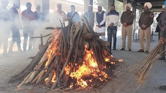 تصویر سوشل میڈیا