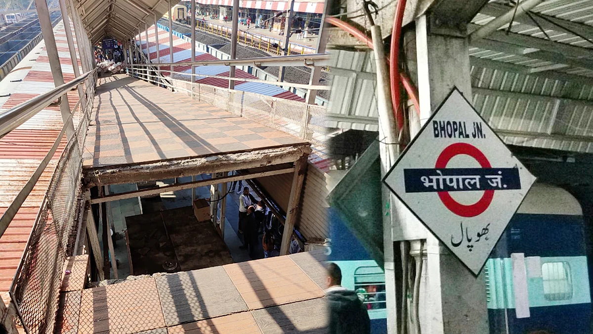 تصویر سوشل میڈیا