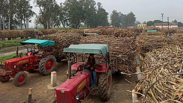 تصویر سوشل میڈیا