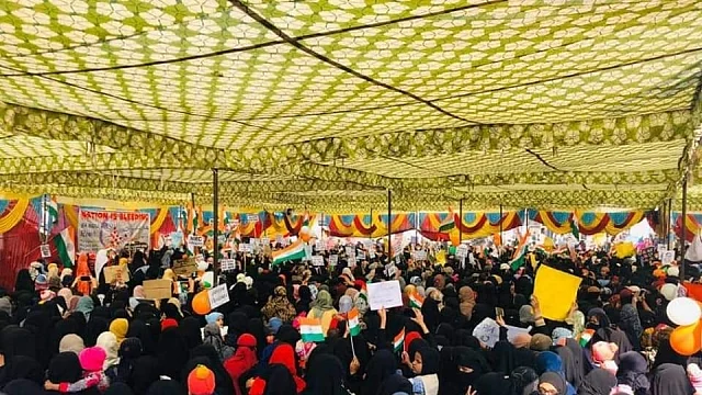 تصویر سوشل&nbsp; میڈیا