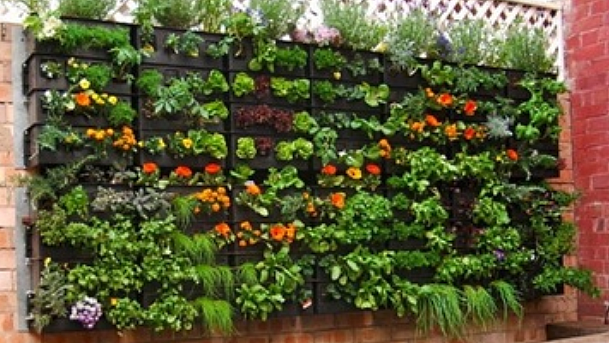 تصویر سوشل میڈیا