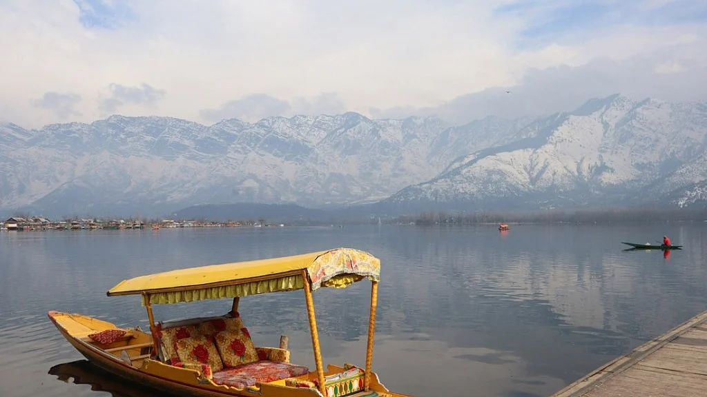 تصویر سوشل میڈیا