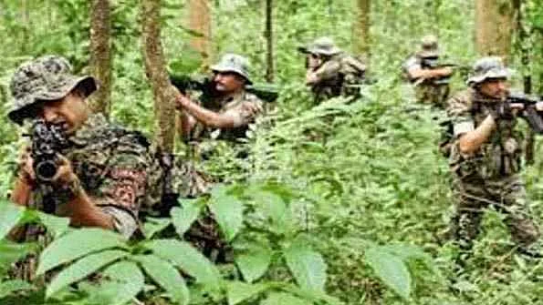 علامتی تصویر، سوشل میڈیا