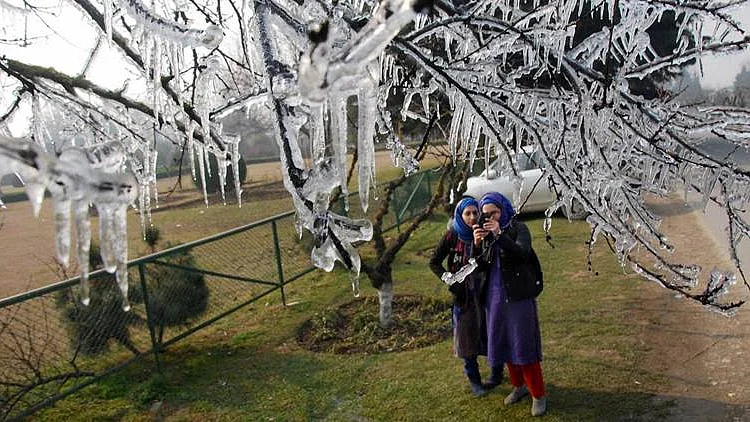 تصویر سوشل میڈیا