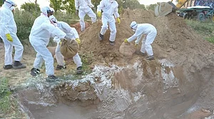 کورونا وائرس... برڈ فلو... سوائن فلو... چمکی بخار... ایک ساتھ چار جنگیں لڑ رہا بہار