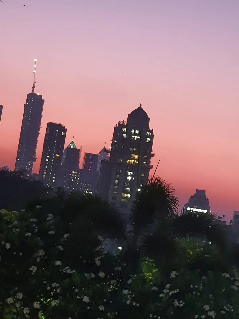 تصویر سوشل میڈیا