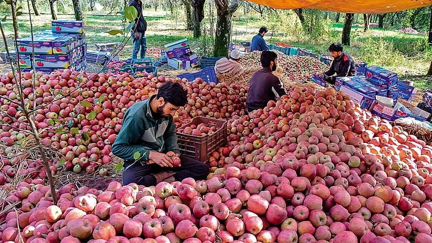 تصویر سوشل میڈیا