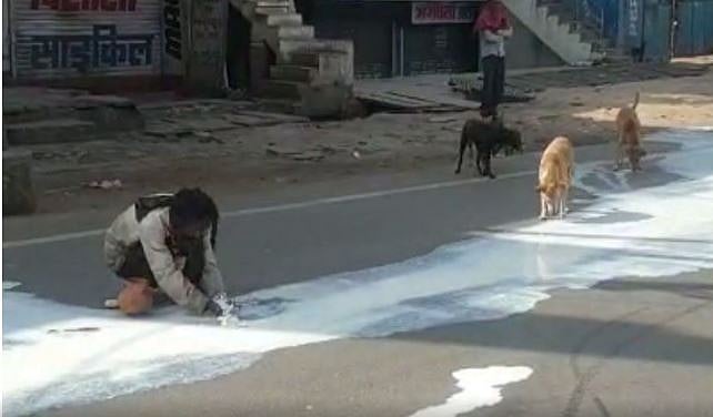 تصویر سوشل میڈیا