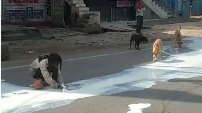 تصویر سوشل میڈیا