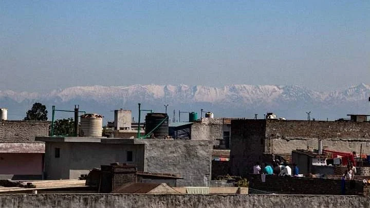 تصویر سوشل میڈیا