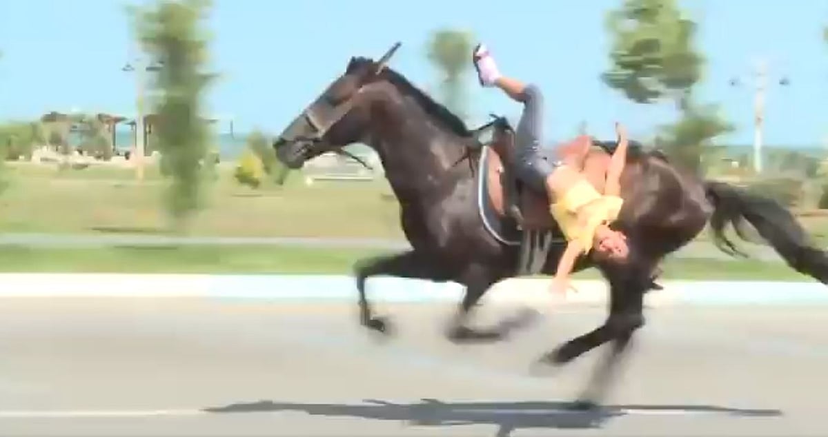 عربی گھوڑے پر سوار ننھی بچی کے کرتب نے لوگوں کو کیا حیران، دیکھیں ویڈیو