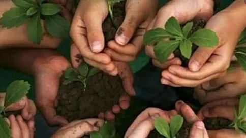 تصویر سوشل میڈیا