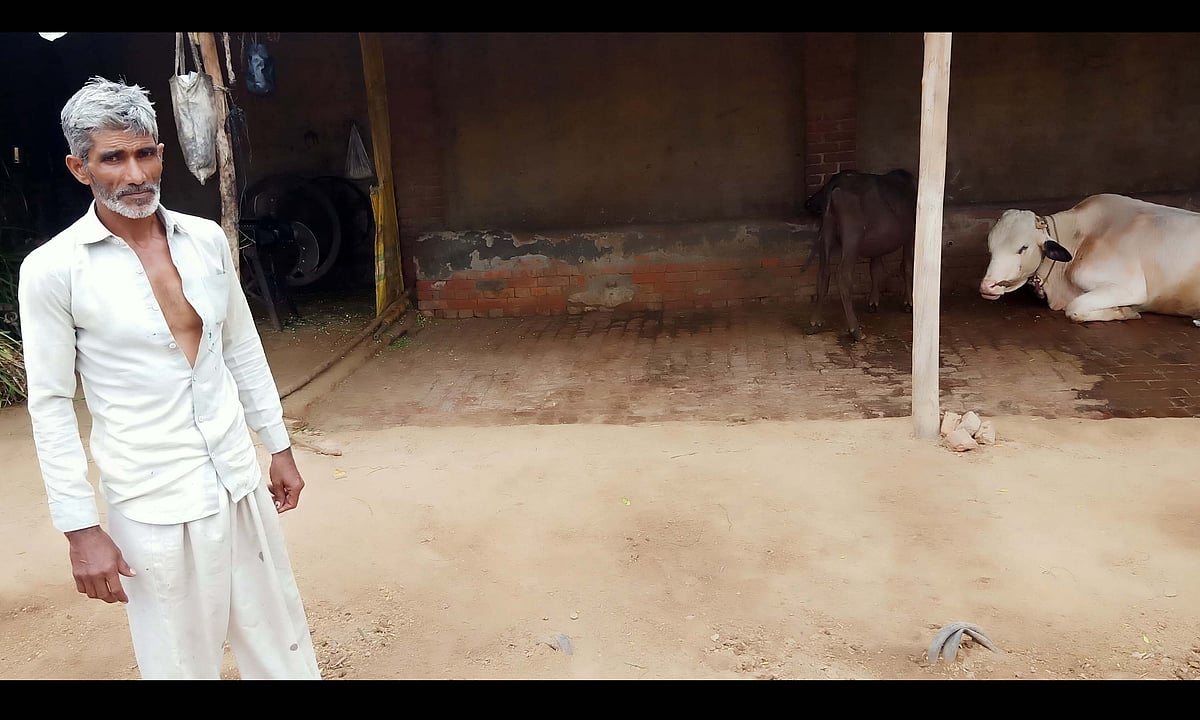 تصویر آس محمد کیف
