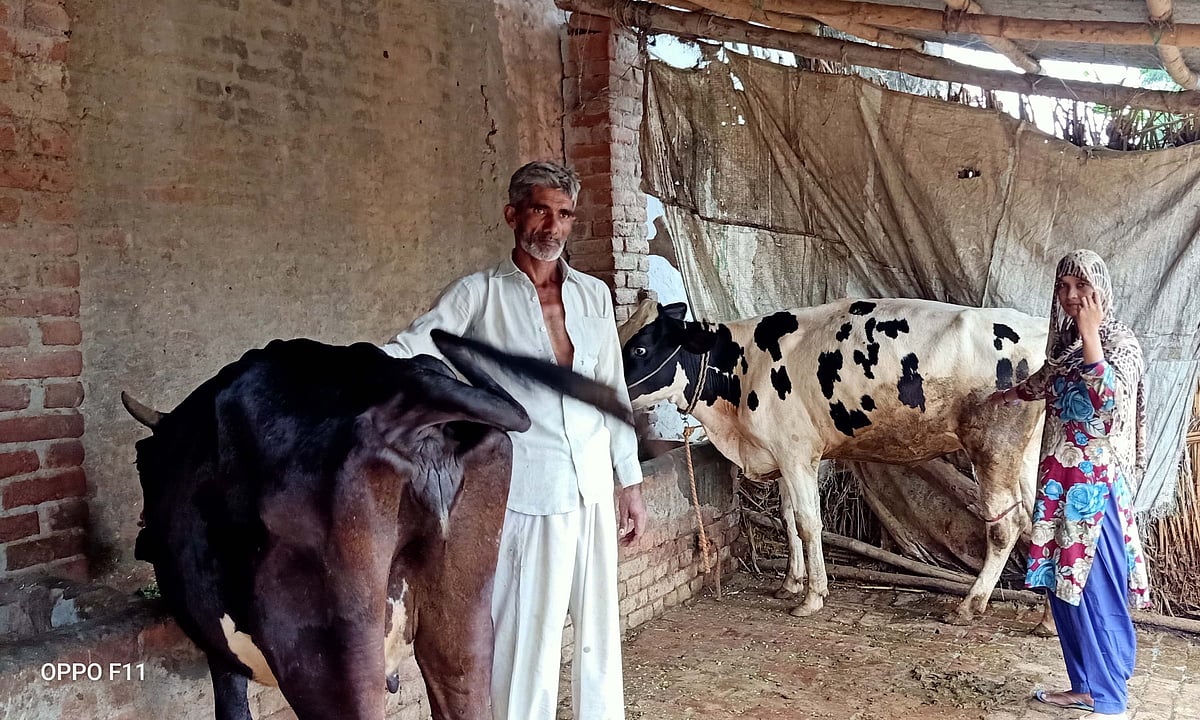تصویر آس محمد کیف