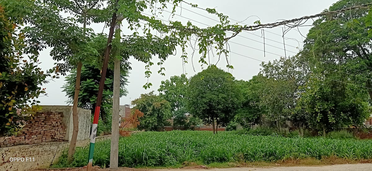 تصویر آس محمد کیف