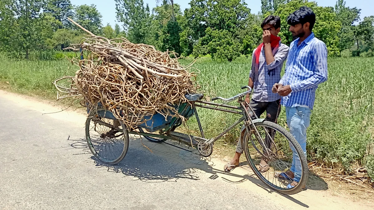 تصویر آس محمد کیف