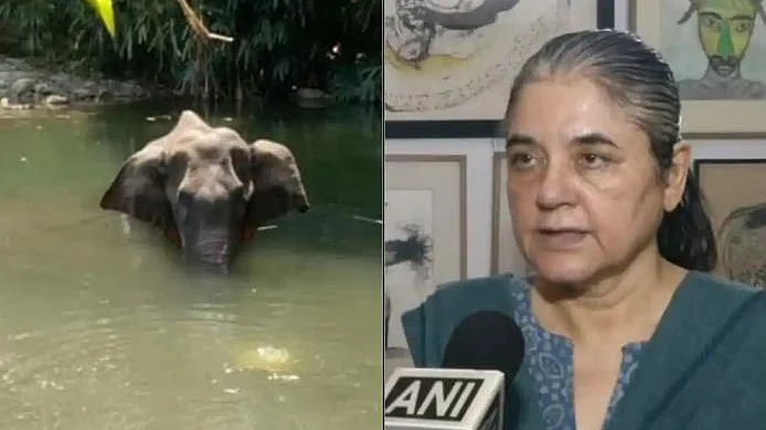 تصویر سوشل میڈیا