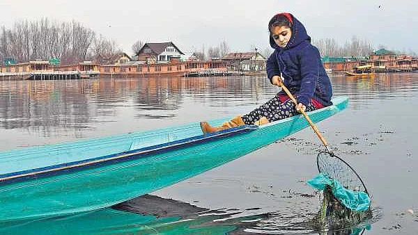 تصویر سوشل میڈیا