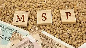 تصویر سوشل میڈیا