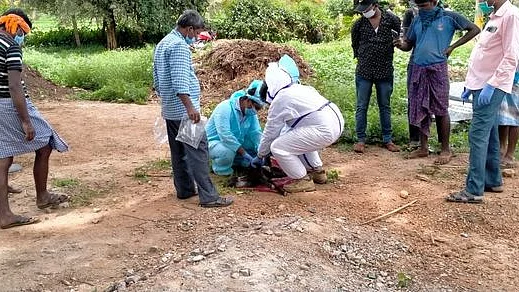 تصویر سوشل میڈیا