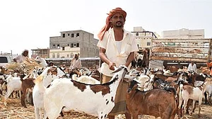 نئی طرح کی عید، قربانی اور ثواب اب آن لائن