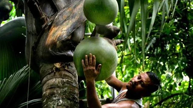 تصویر سوشل میڈیا