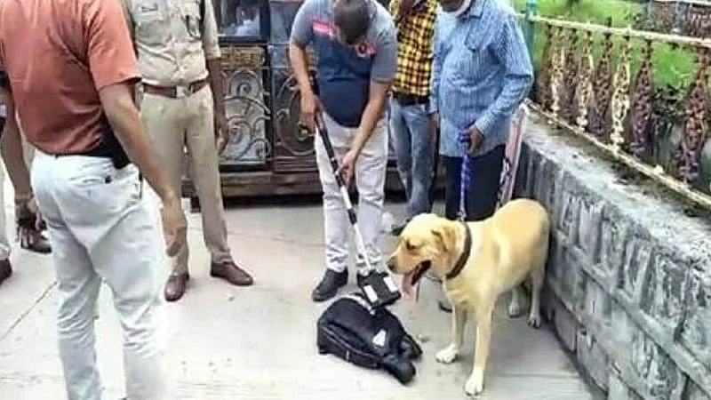 تصویر سوشل میڈیا