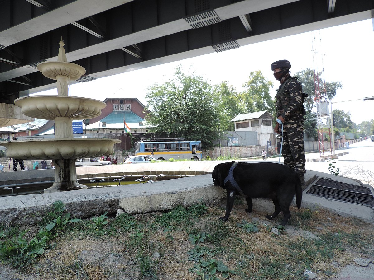 کشمیر میں سخت سیکورٹی بندوبست کے درمیان یوم آزادی تقاریب منعقد