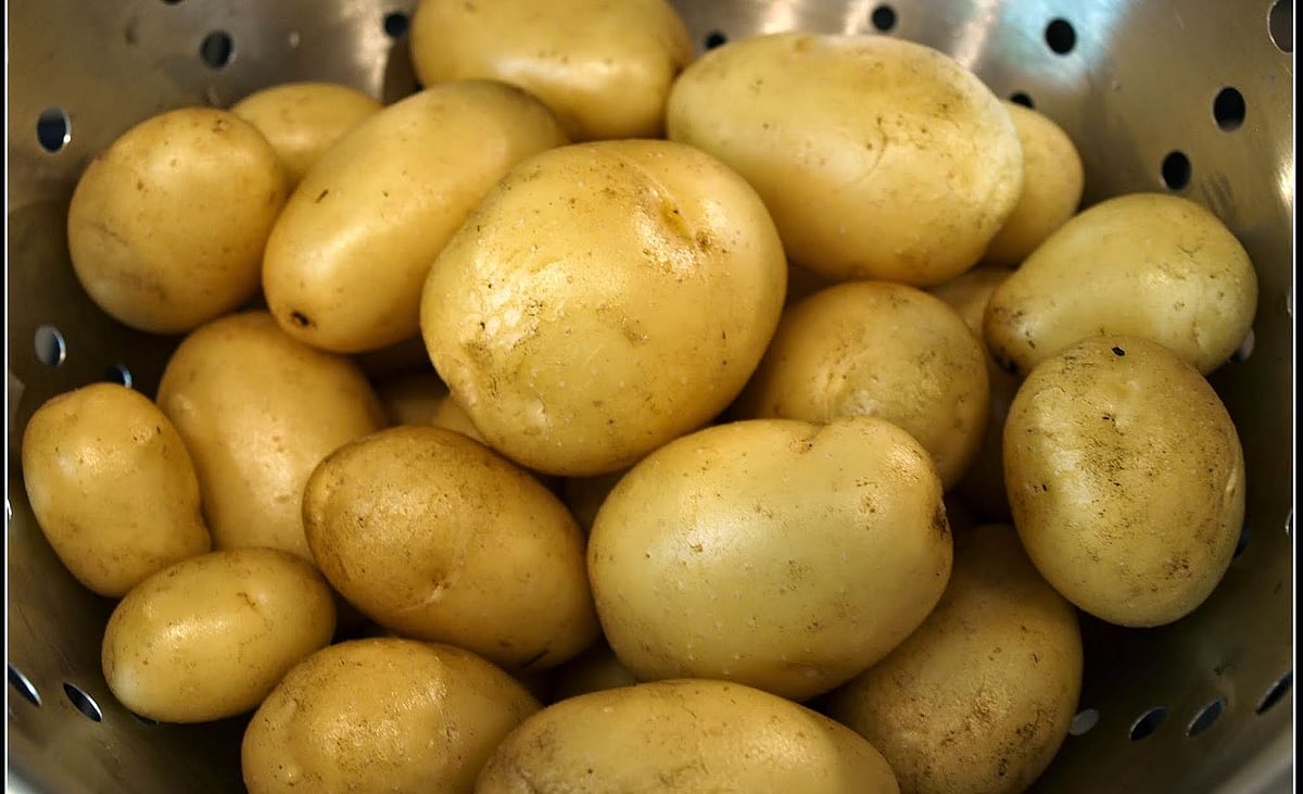 حکومت نے مہنگائی سے جھاڑا پلّہ، کہا ’آلو، پیاز اور ٹماٹر کی قیمتوں پر موسم کا ہوتا ہے اثر‘