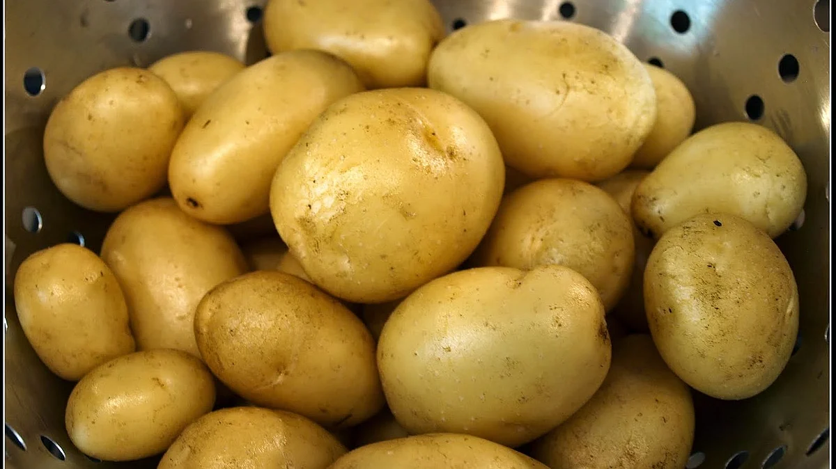 تصویر سوشل میڈیا