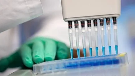 تصویر سوشل میڈیا