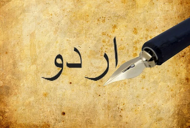 ’زبان بند کرنا آسان نہیں‘، ہندی کی اردو جڑوں پر قدغن ہندوستان کی لسانی روح کے لیے خطرہ کیوں ہے؟... حسنین نقوی