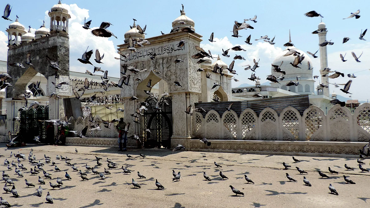 تصویر یو این آئی