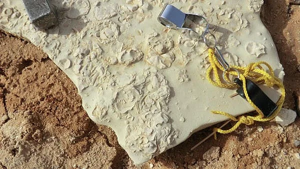 سعودی عرب کے شمالی پہاڑوں کی عمر 37 ملین سال ہے: ماہرین ارضیات