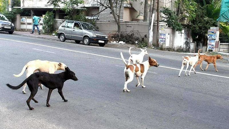 تصویر سوشل میڈیا