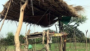 مکئی کے کھیت کے مچان پر بیٹھ کر آن لائن تعلیم، تلنگانہ کی طالبہ نے جیت لئے تمام کے دل