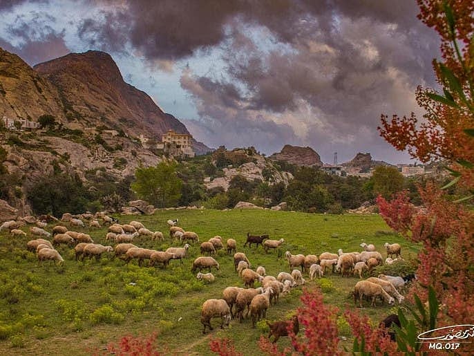 سعودی عرب کے جنوبی علاقہ جات کا سحر انگیز قدرتی حسن