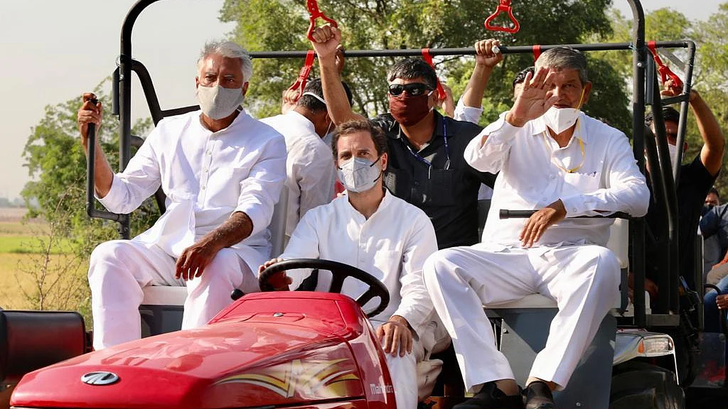 پنجاب میں ’کھیتی بچاؤ یاترا‘ کے دوران ٹریکٹر چلاتے ہوئے کانگریس لیڈر راہل گاندھی / تصویر سوشل میڈیا