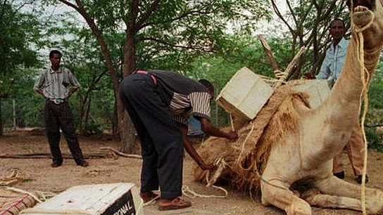 ایتھوپیا کی موبائل اونٹ لائبریریاں