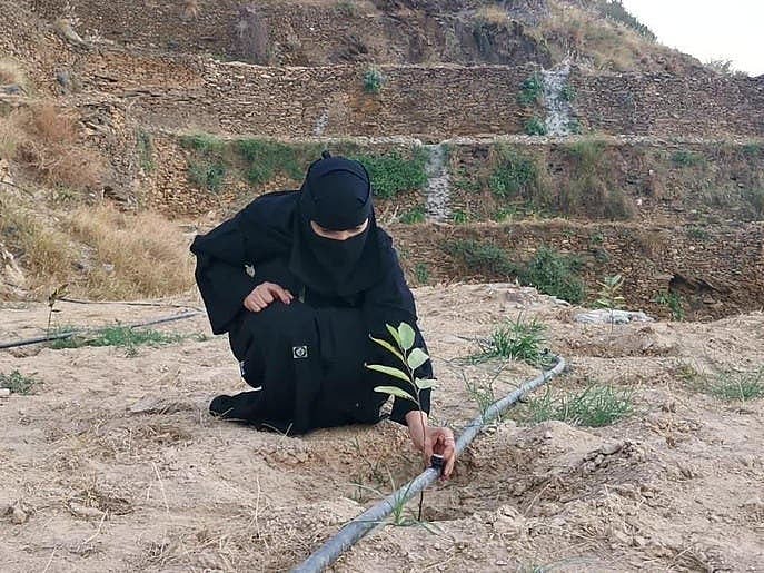 سعودی عرب: ایک خاتون کی 'دیہاتی مہمان سرائے' سیاحوں کی توجہ کا مرکز