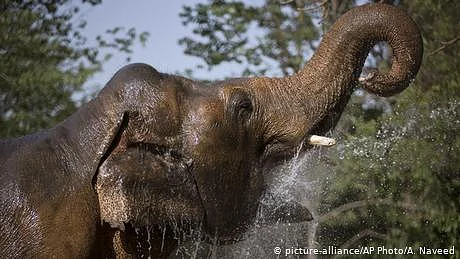 کاوان بالآخر کمبوڈیا کے لیے روانہ ہو گیا