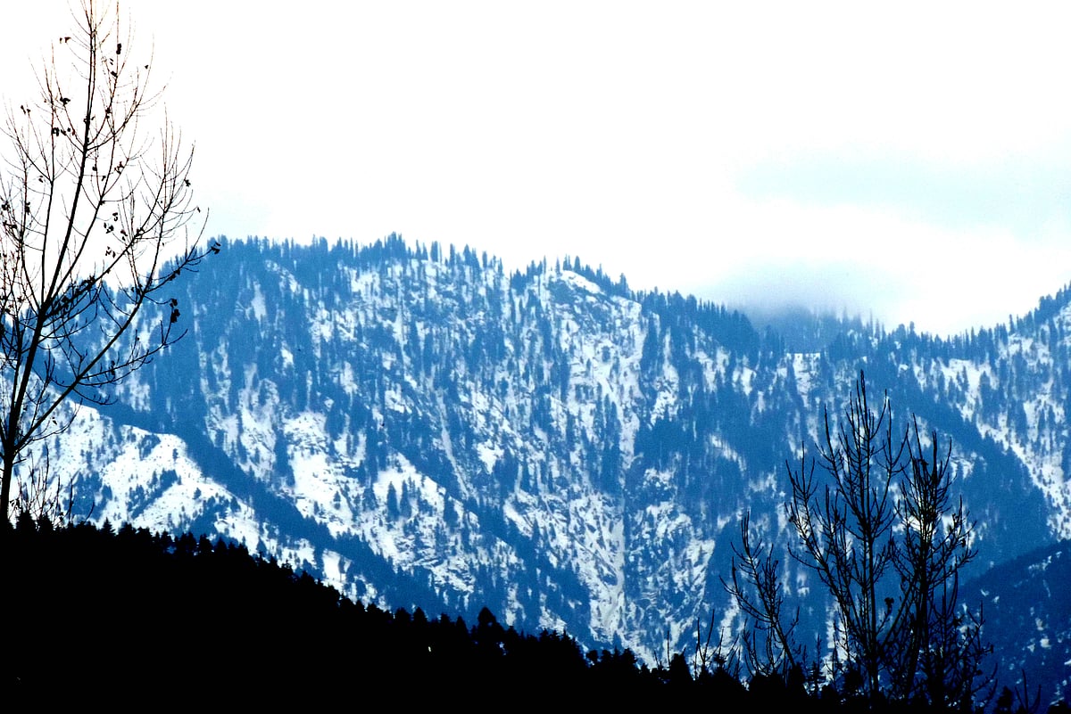 سری نگر میں رواں موسم کی سرد ترین رات، درجہ حرارت منفی 3 ڈگری ریکارڈ