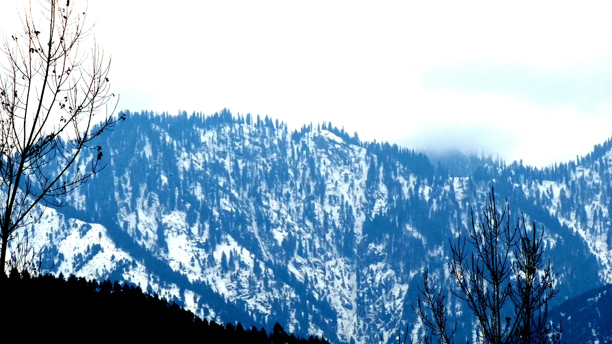 تصویر یو این آئی