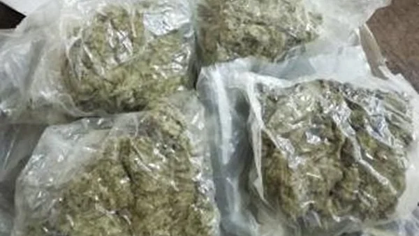 تصویر آئی اے این ایس