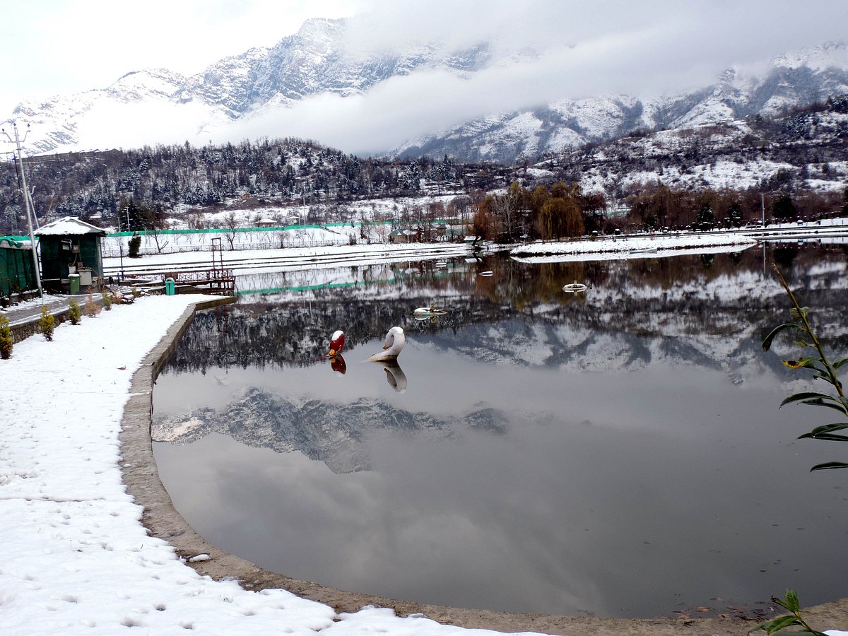 سری نگر میں رواں موسم سرما کی پہلی برف باری