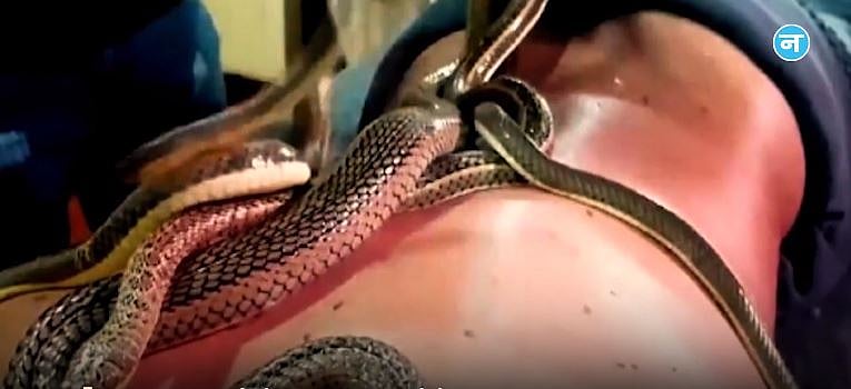 تصویر ویڈیو گریب